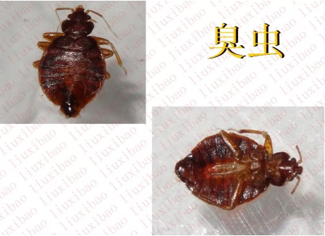 請(qǐng)?zhí)砑訄D片